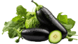Legumes e Vegetais