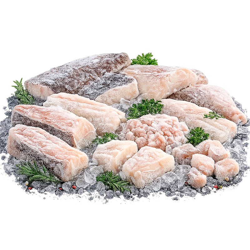 Bacalhau Cong.
