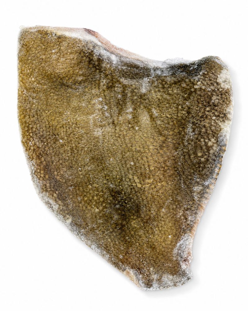 SOLHA INTEIRA 500/700 E/I CX:6KG