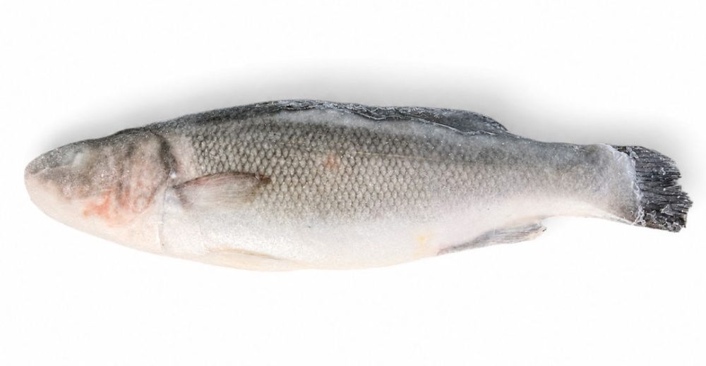 ROBALO 200/300 INT. EVISC. AV. (cx.10kg)