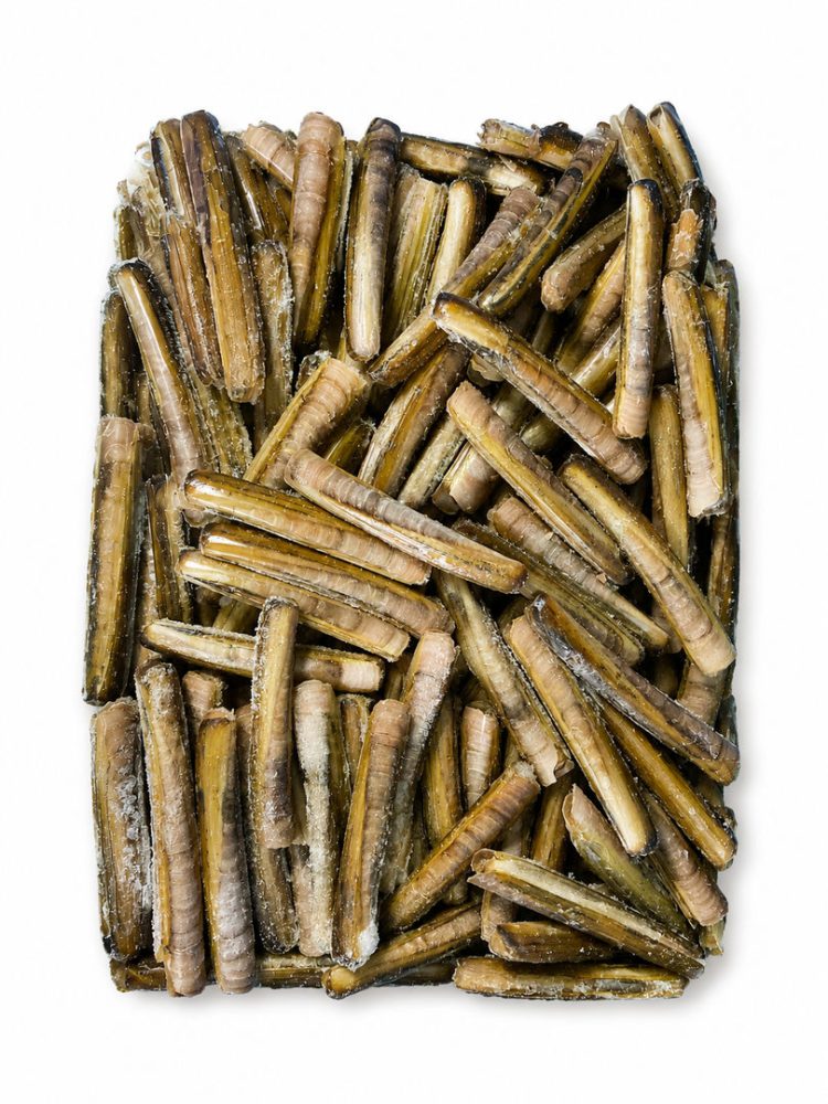 LONGUEIRAO 8/12 C/ CASCA E/I CONG. CX:5KG