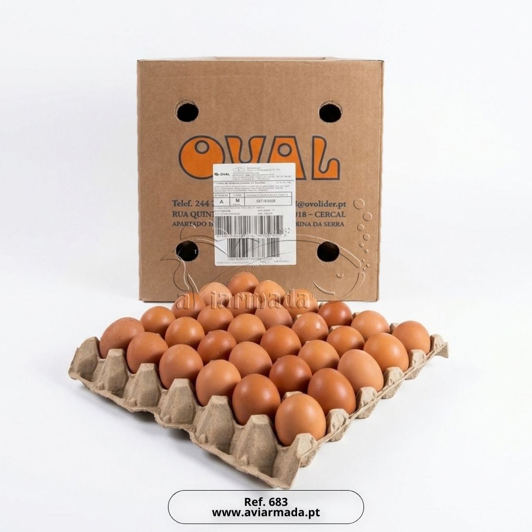 OVOS CLASSE M  IND. (cx.15dz)