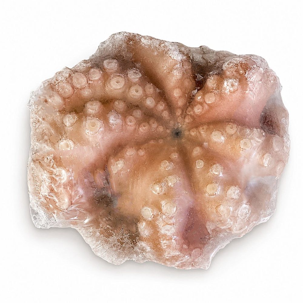 POLVO VIRGEM MRC 1.0/1.5KG FLOR C/ETQ. 1X1/CX: 8UN - MOYSE