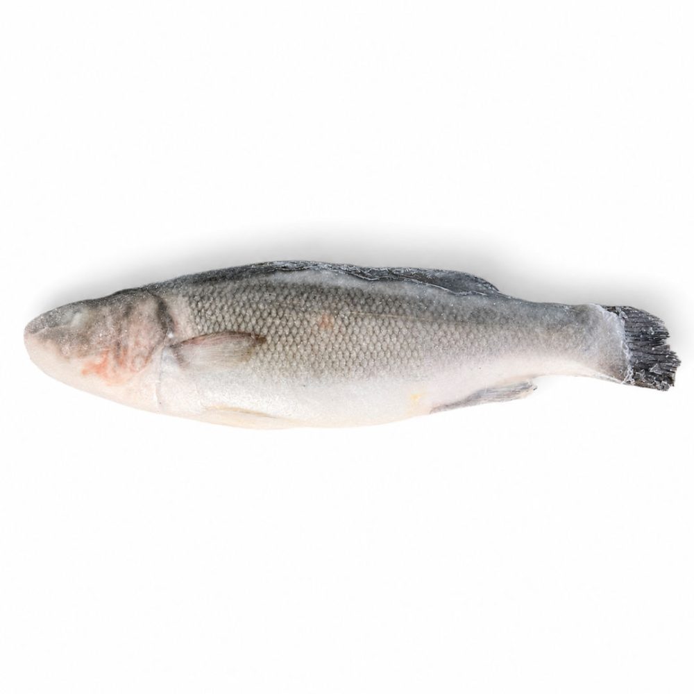 ROBALO 200/300 INT. EVISC. AV. (cx.10kg)